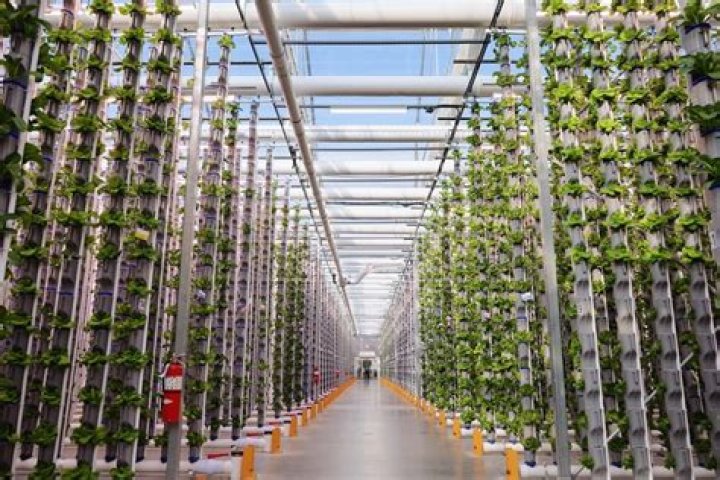 Why esb is used?