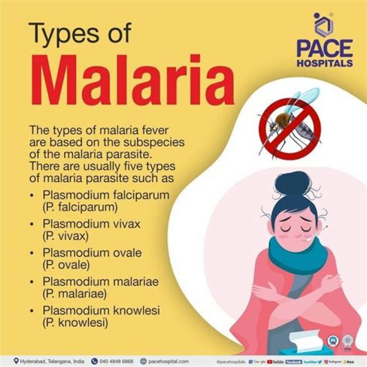 Why is it called quartan malaria?