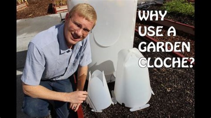 Why use a garden cloche?