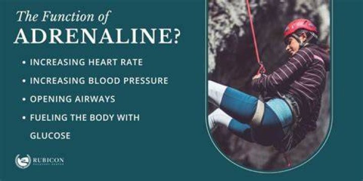 Will adrenaline increase blood pressure?